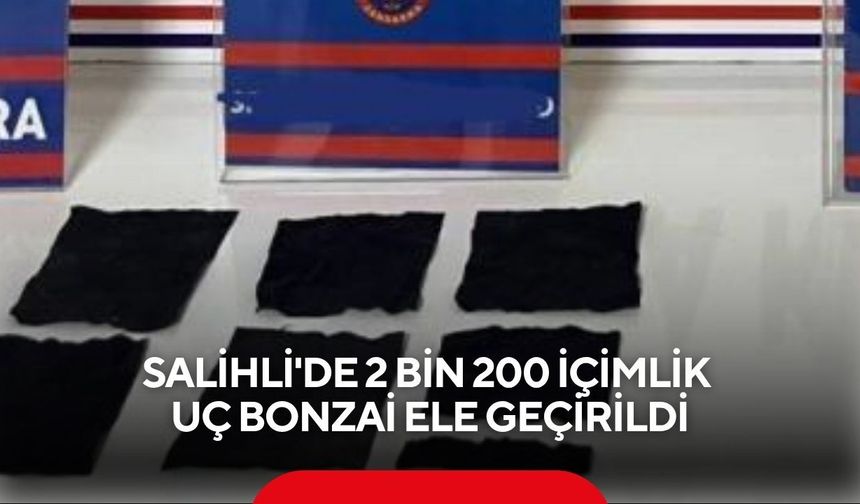 Salihli'de 2 Bin 200 içimlik uç bonzai ele geçirildi