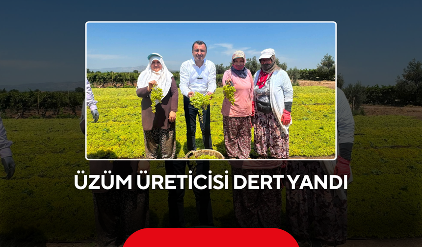 Üzüm üreticisi dert yandı