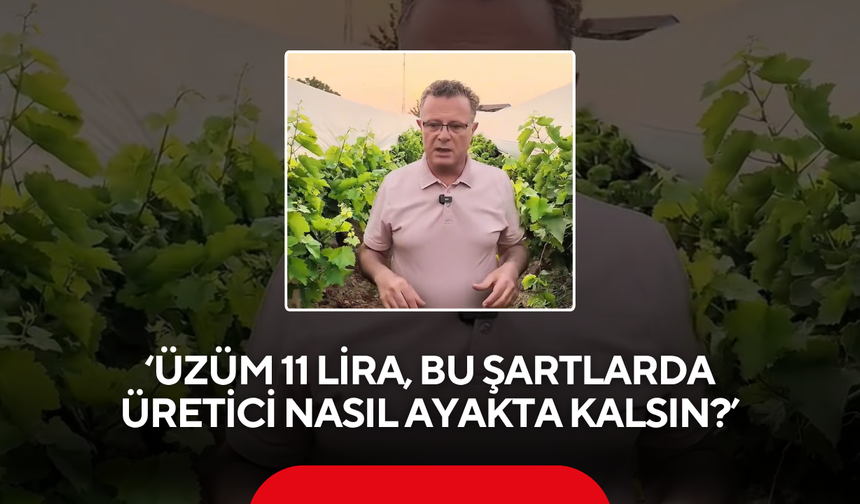 ‘Üzüm 11 lira, bu şartlarda üretici nasıl ayakta kalsın?’