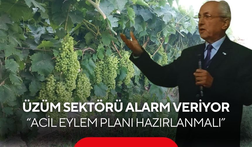 Üzüm Kooperatifi’nden acil çağrı! Üzüm sektörü için eylem planı hazırlansın