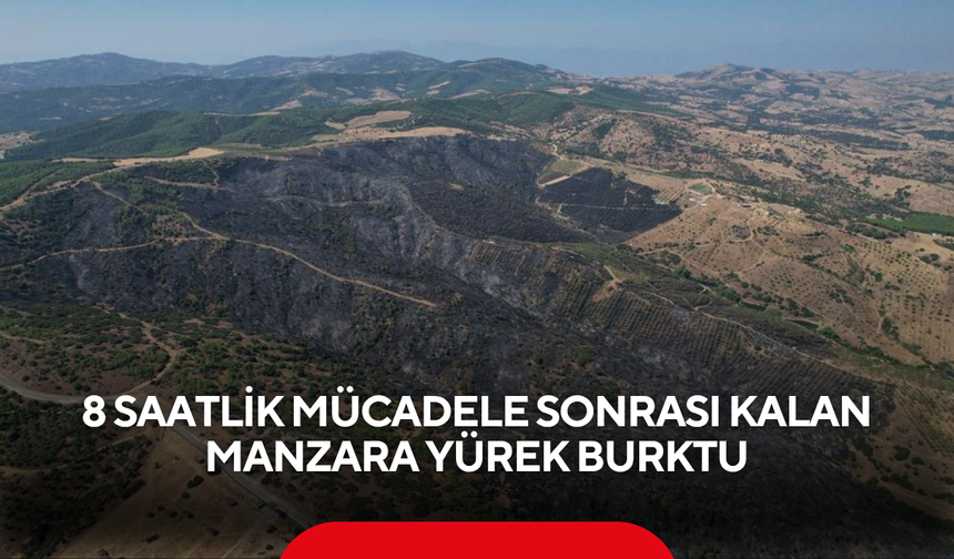 8 Saatlik Mücadele Sonrası Kalan Manzara Yürek Burktu