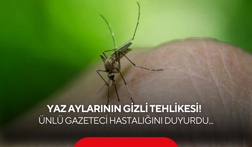 Yaz aylarında tehlike saçıyor: Şiddetli kemik ağrısı ve yüksek ateşle kendini gösteren Dang virüsü nedir?