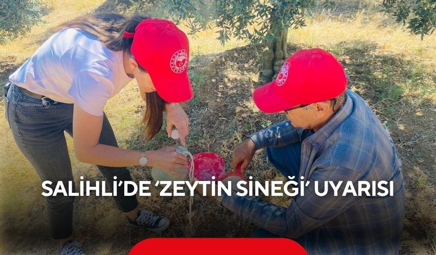 Salihli’de ‘zeytin sineği’ uyarısı