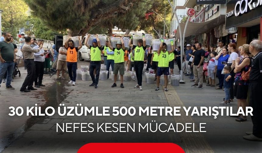 30 kilo üzümle 500 metre yarıştılar! Alaşehir’de nefes kesen mücadele...