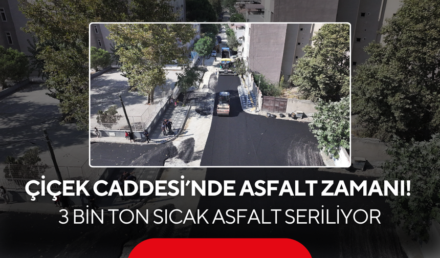 Çiçek Caddesi’nde asfalt zamanı! 3 bin ton sıcak asfalt seriliyor