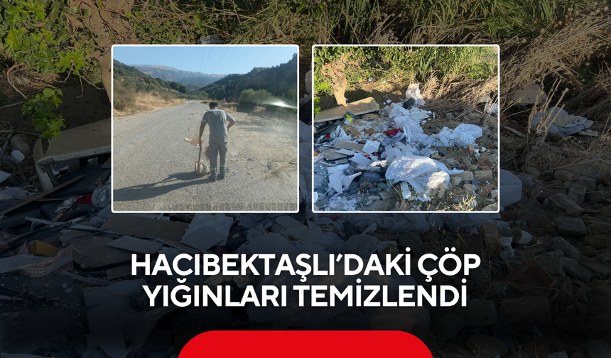 Sektör Medya gündeme taşıdı, 3 kamyon evsel atık çıktı !