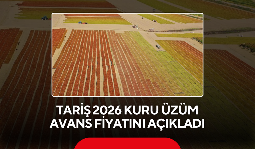 TARİŞ kuru üzüm fiyatını açıkladı! İşte 2026 sezonunun avans fiyatı