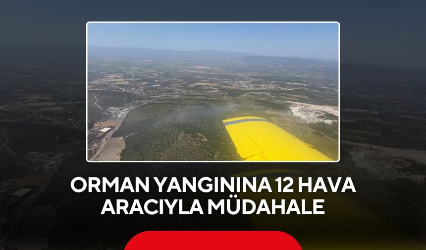 Orman yangınına 12 hava aracıyla müdahale