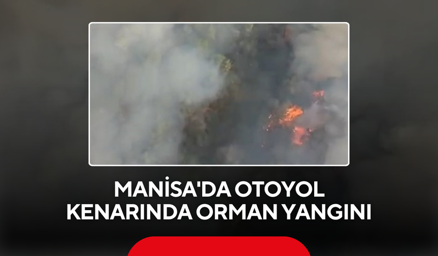 Manisa'da otoyol kenarında orman yangını