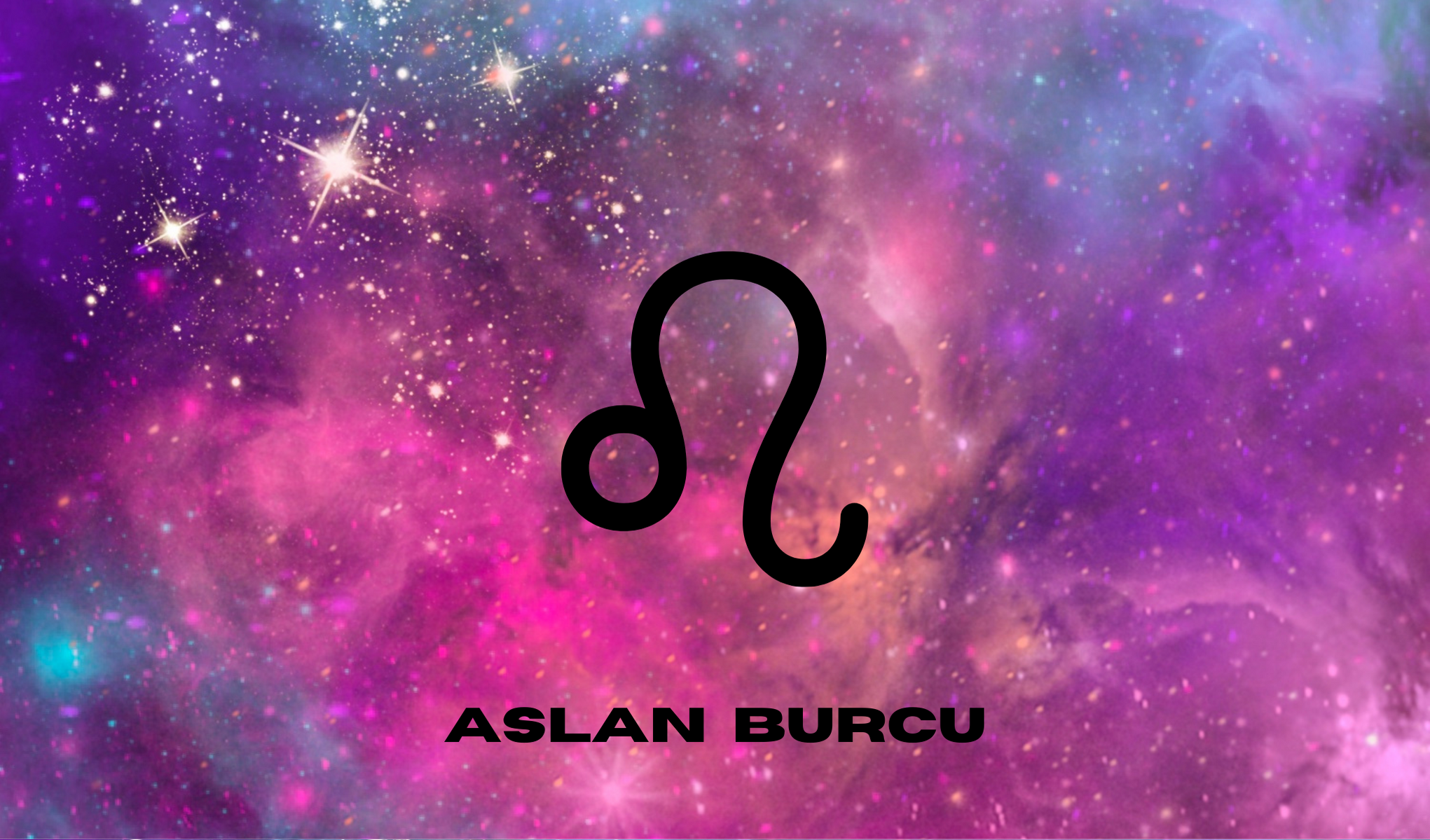 sans-para-yeni-yil-milyoner-piyango-aslan-burcu