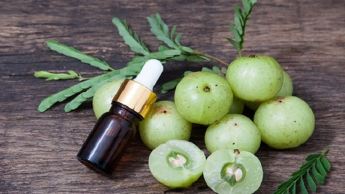Amla Yagi Nedir