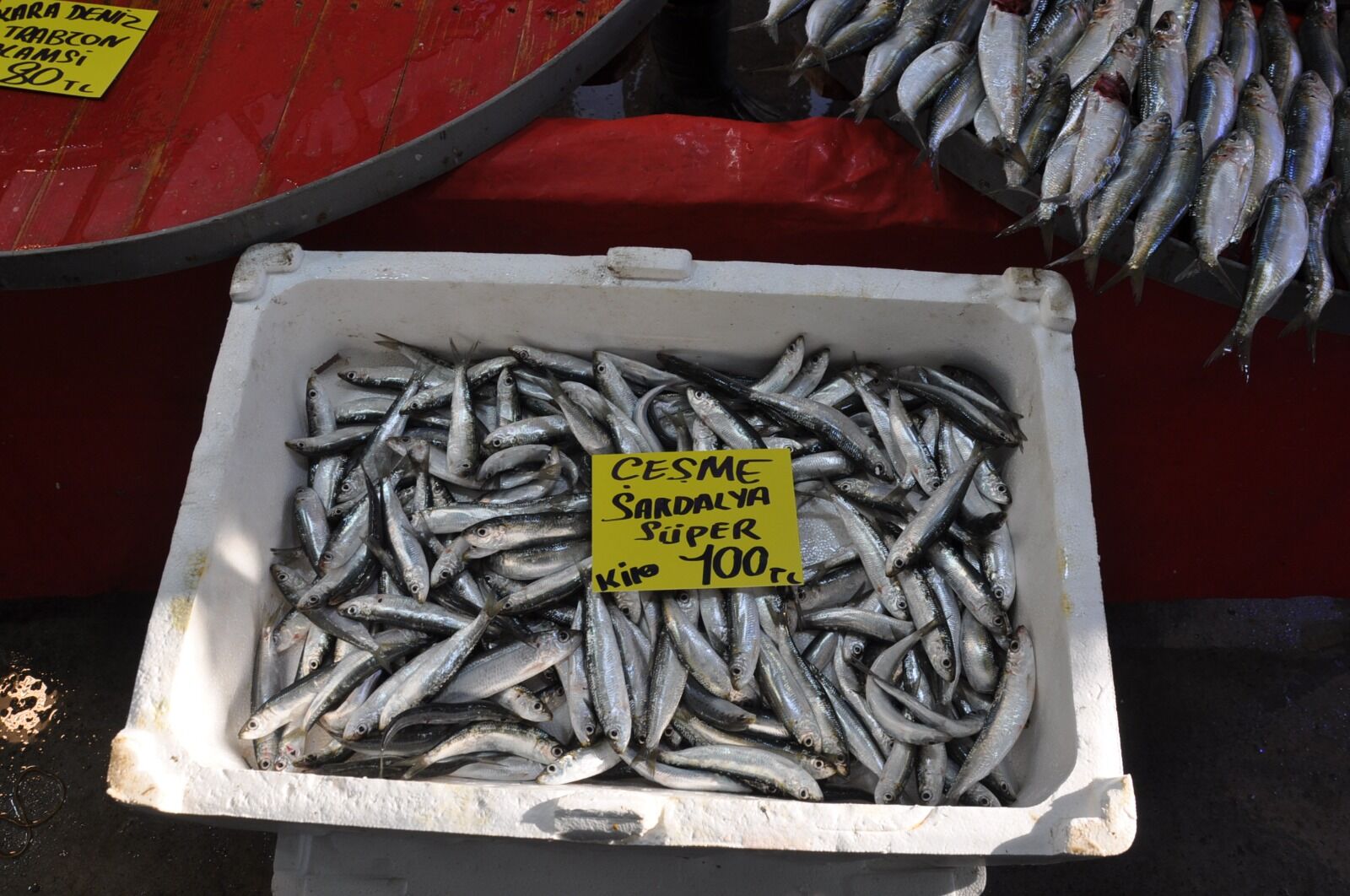 Balik Fiyatlari1.02 3