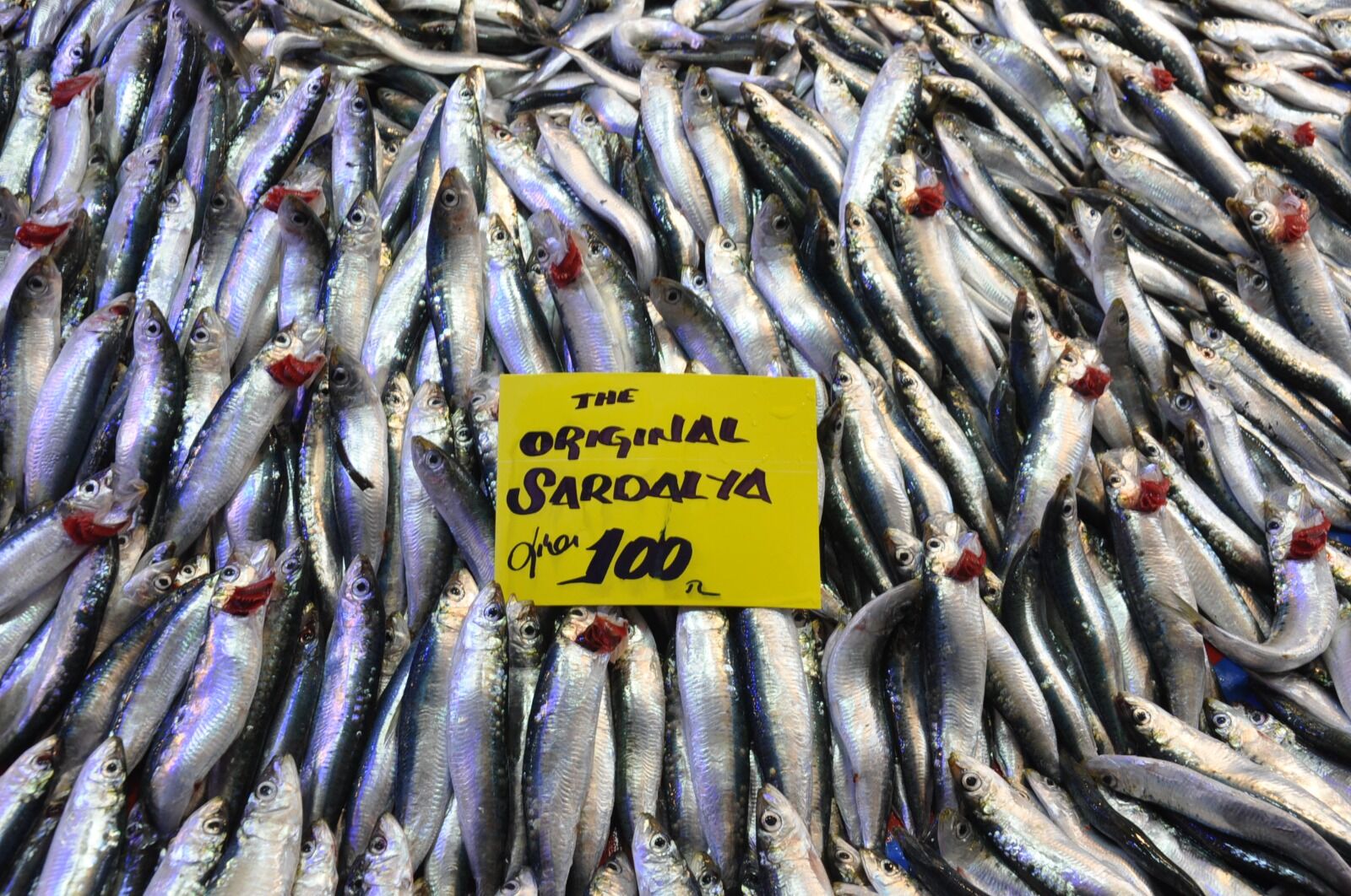 Balik Fiyatlari1.02 8