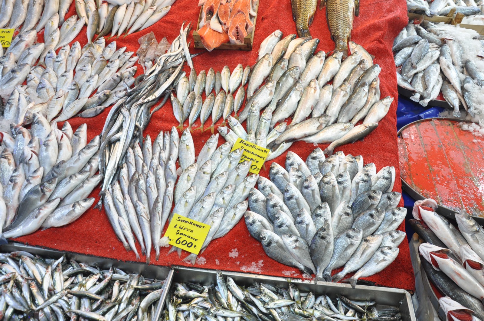 Balik Fiyatlari2.25 6