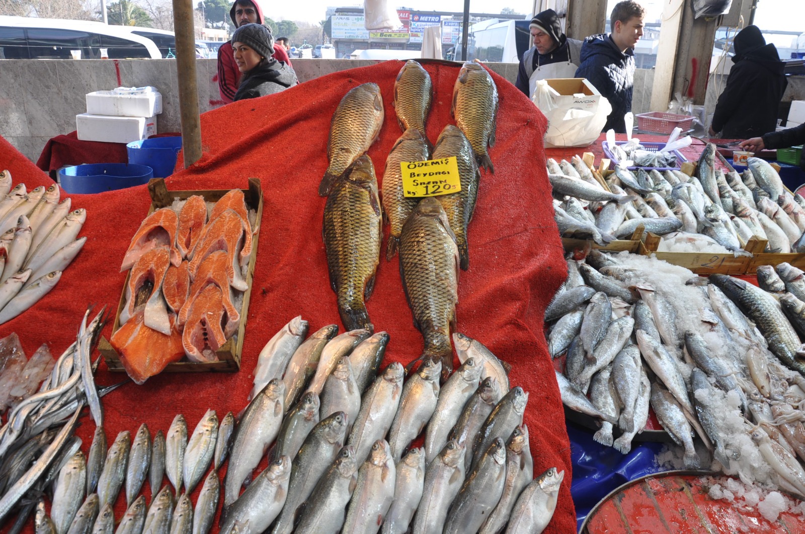 Balik Fiyatlari2.25 7