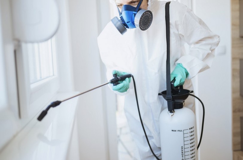 Izmir Ilaçlama Şirketi 3