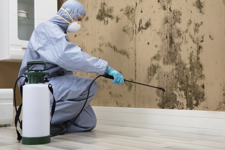 Izmir Ilaçlama Şirketi 5