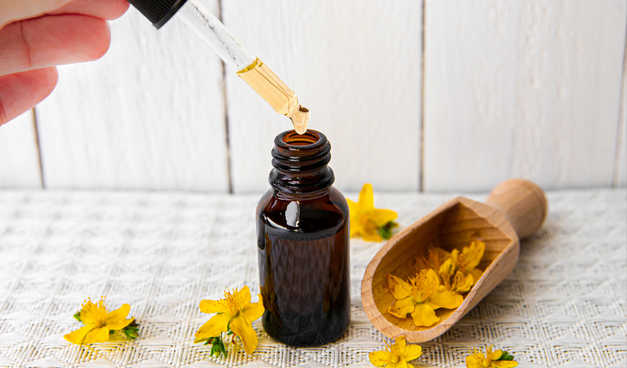 Kantaron Yağı Faydaları, Çeşitleri, Kullanım Alanları (12)