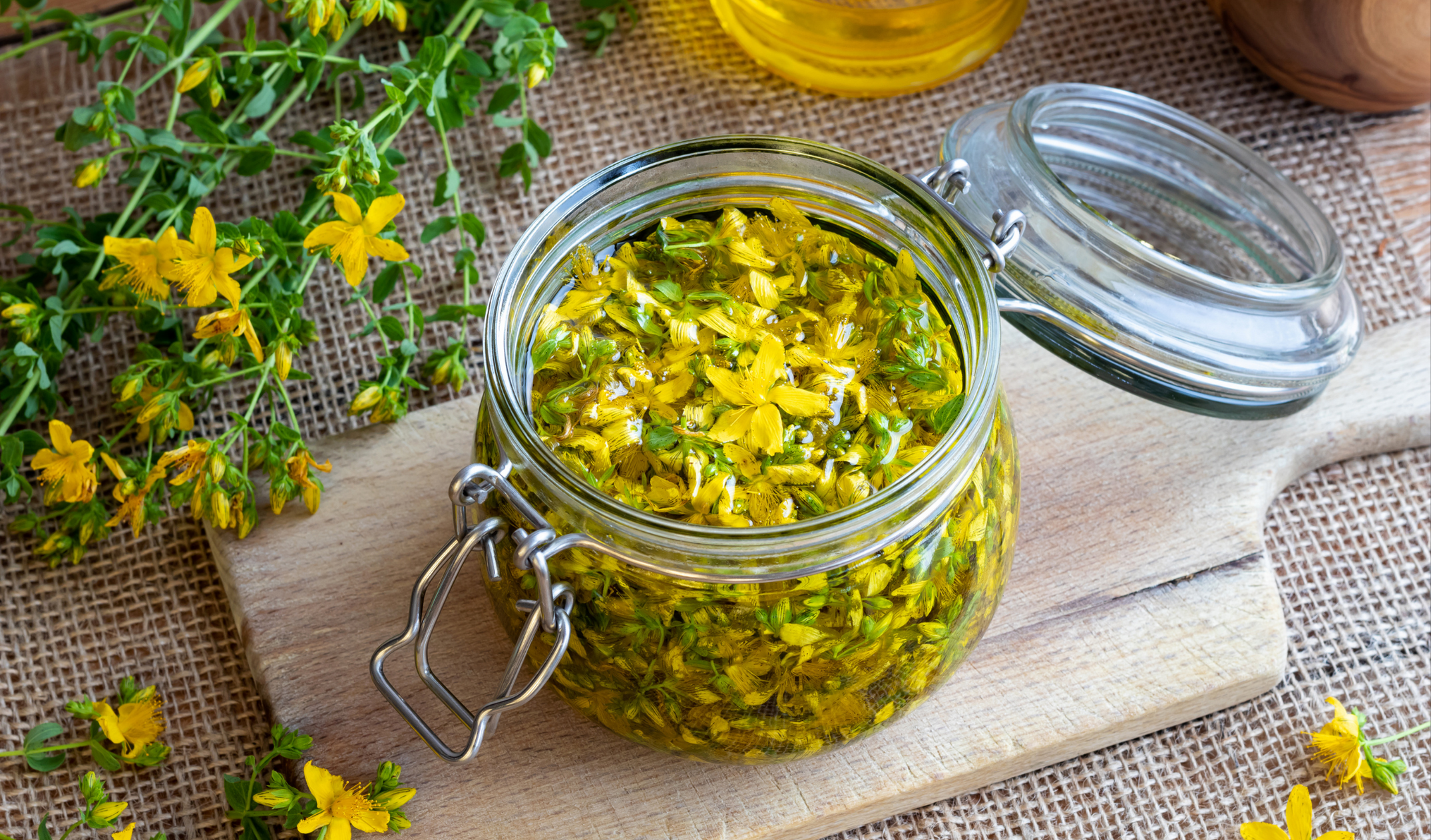 Kantaron Yağı Faydaları, Çeşitleri, Kullanım Alanları (15)