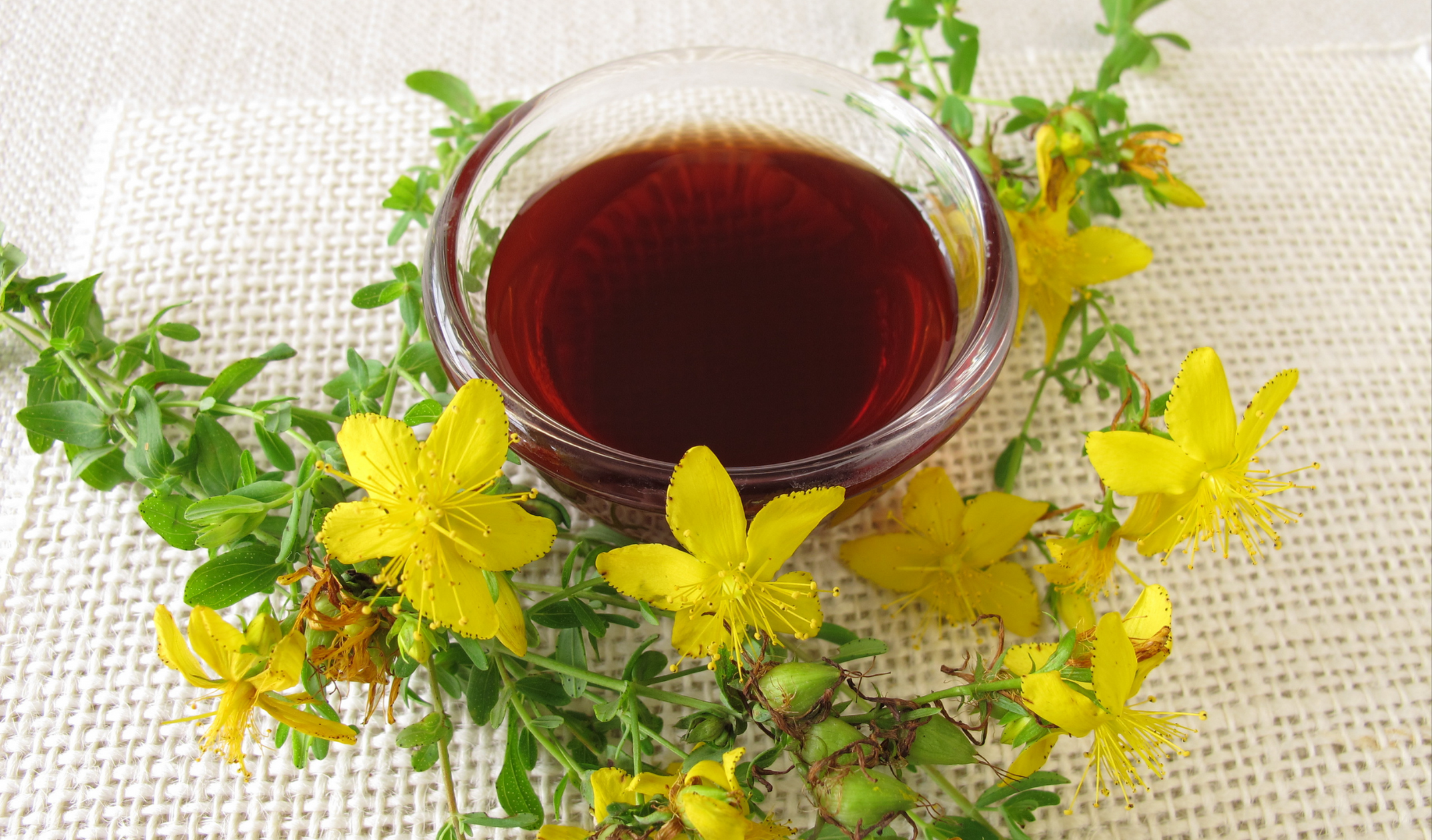 Kantaron Yağı Faydaları, Çeşitleri, Kullanım Alanları (17)