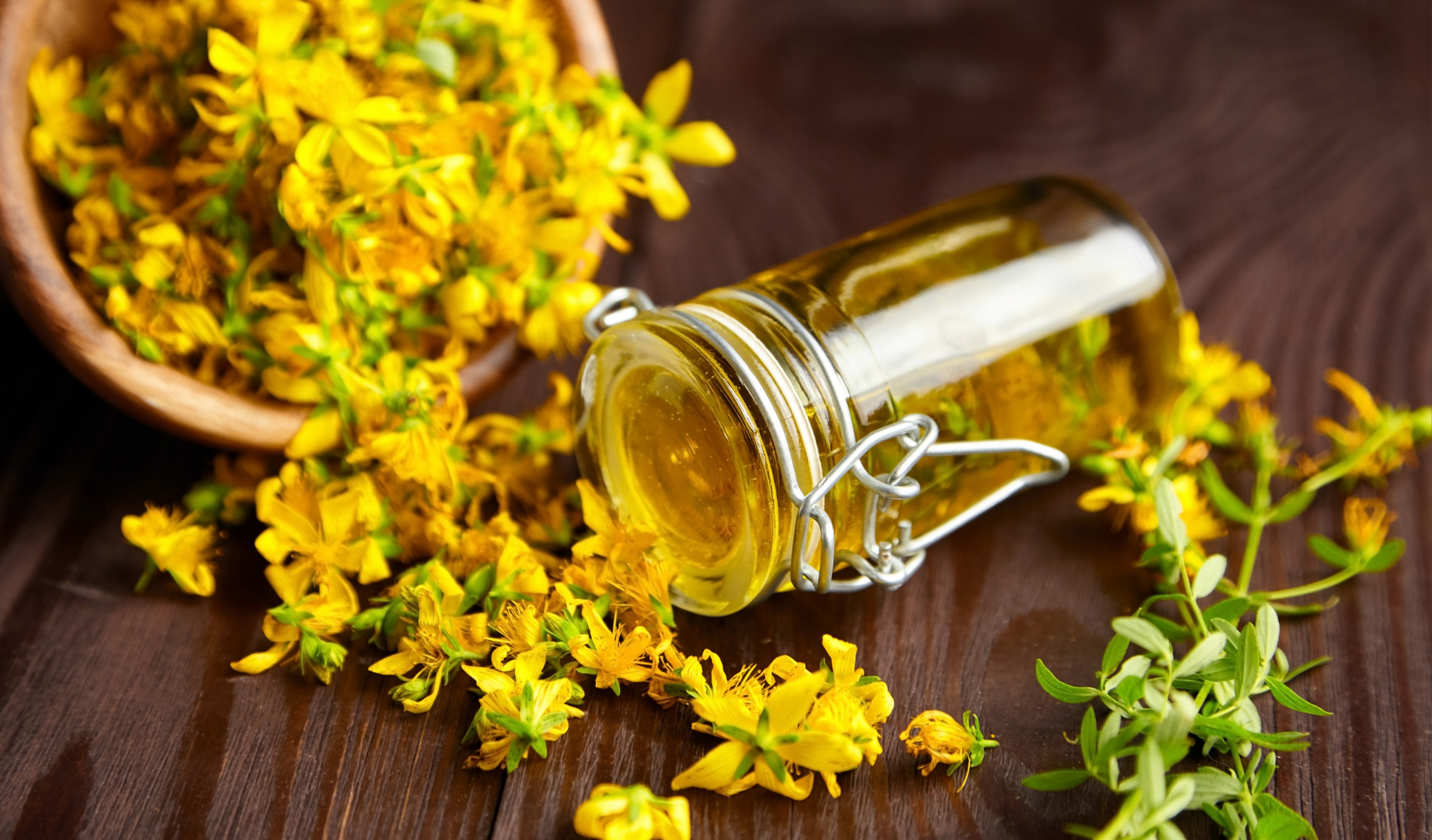 Kantaron Yağı Faydaları, Çeşitleri, Kullanım Alanları (18)