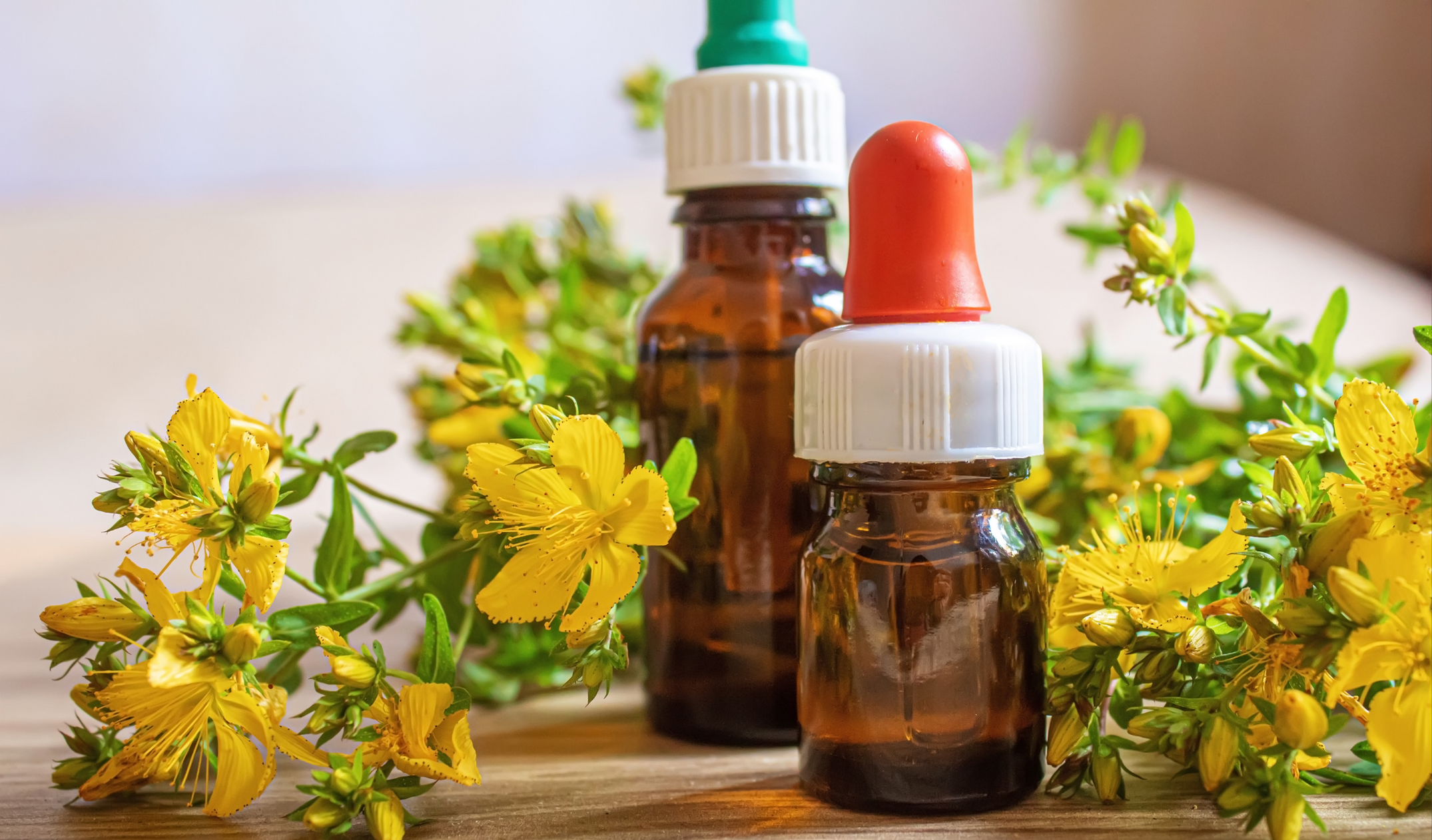 Kantaron Yağı Faydaları, Çeşitleri, Kullanım Alanları (2)