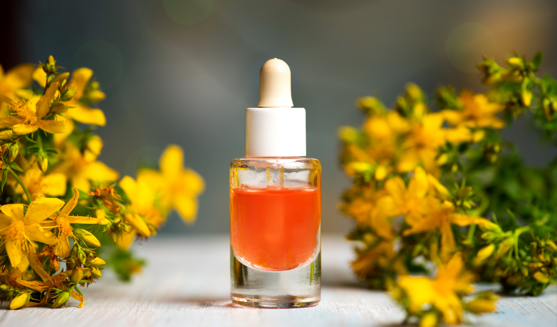 Kantaron Yağı Faydaları, Çeşitleri, Kullanım Alanları (4)