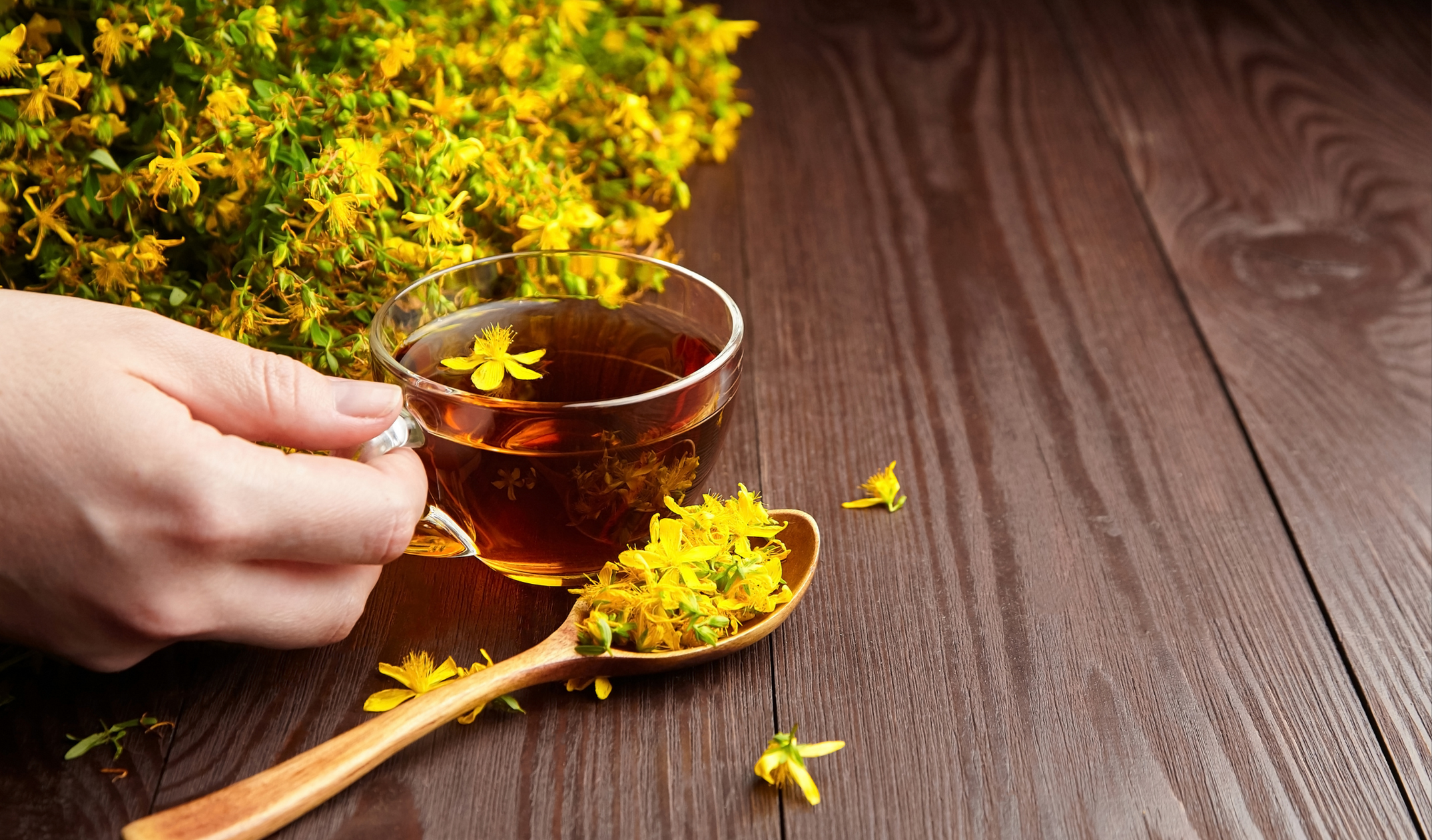 Kantaron Yağı Faydaları, Çeşitleri, Kullanım Alanları (5)