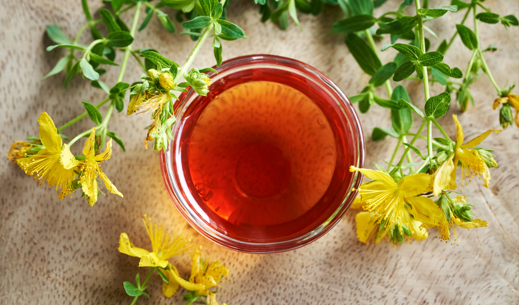 Kantaron Yağı Faydaları, Çeşitleri, Kullanım Alanları (8)