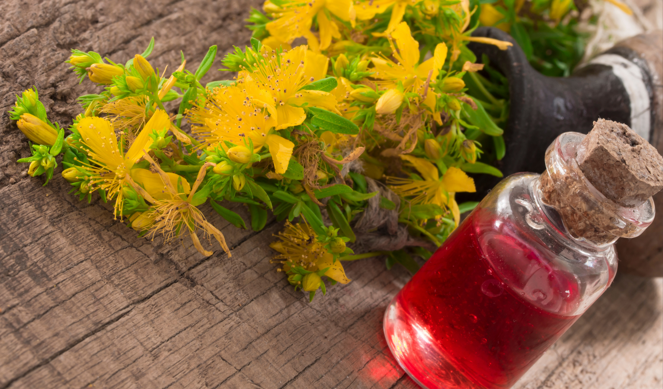 Kantaron Yağı Faydaları, Çeşitleri, Kullanım Alanları (9)