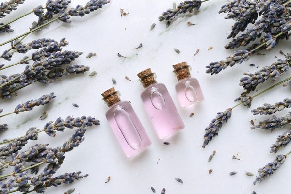 Lavanta Yagi Faydalari Ne Ise Yarar Nasil Yapilir 15