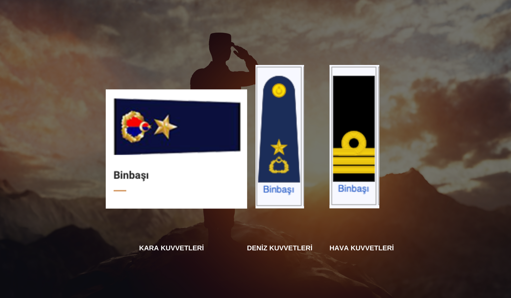 14Asker Rutbeleri Yaka Isaretleripng