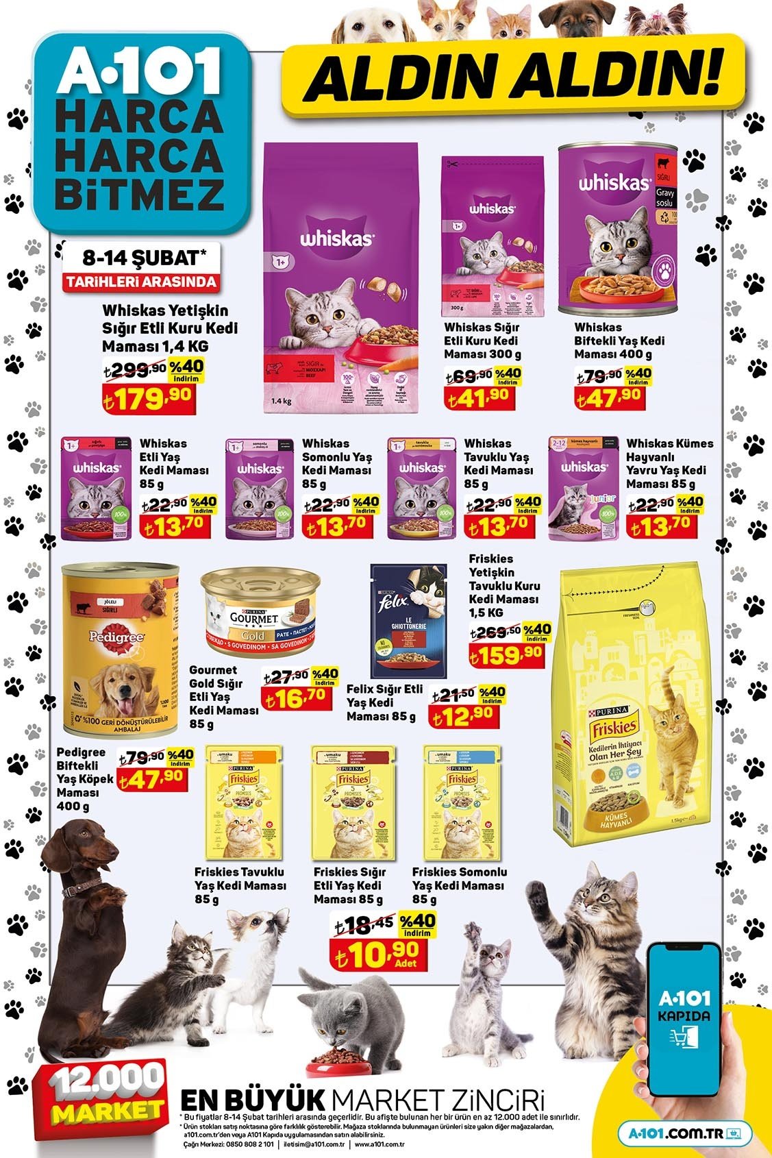 A101 Kedi Kopemamalari 8 Subat Persembe