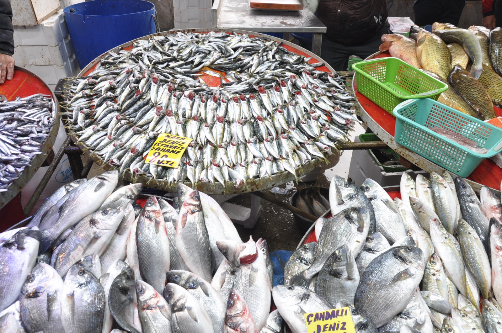 Balik Fiyatlari 14 Subat8