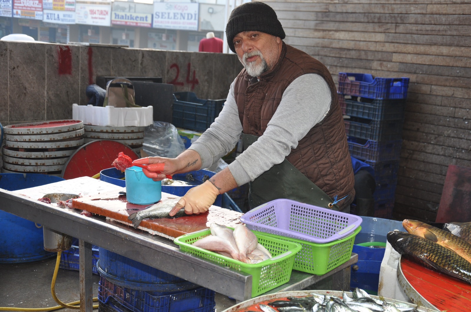 Balik Fiyatlari 21 Subat Carsamba7.08