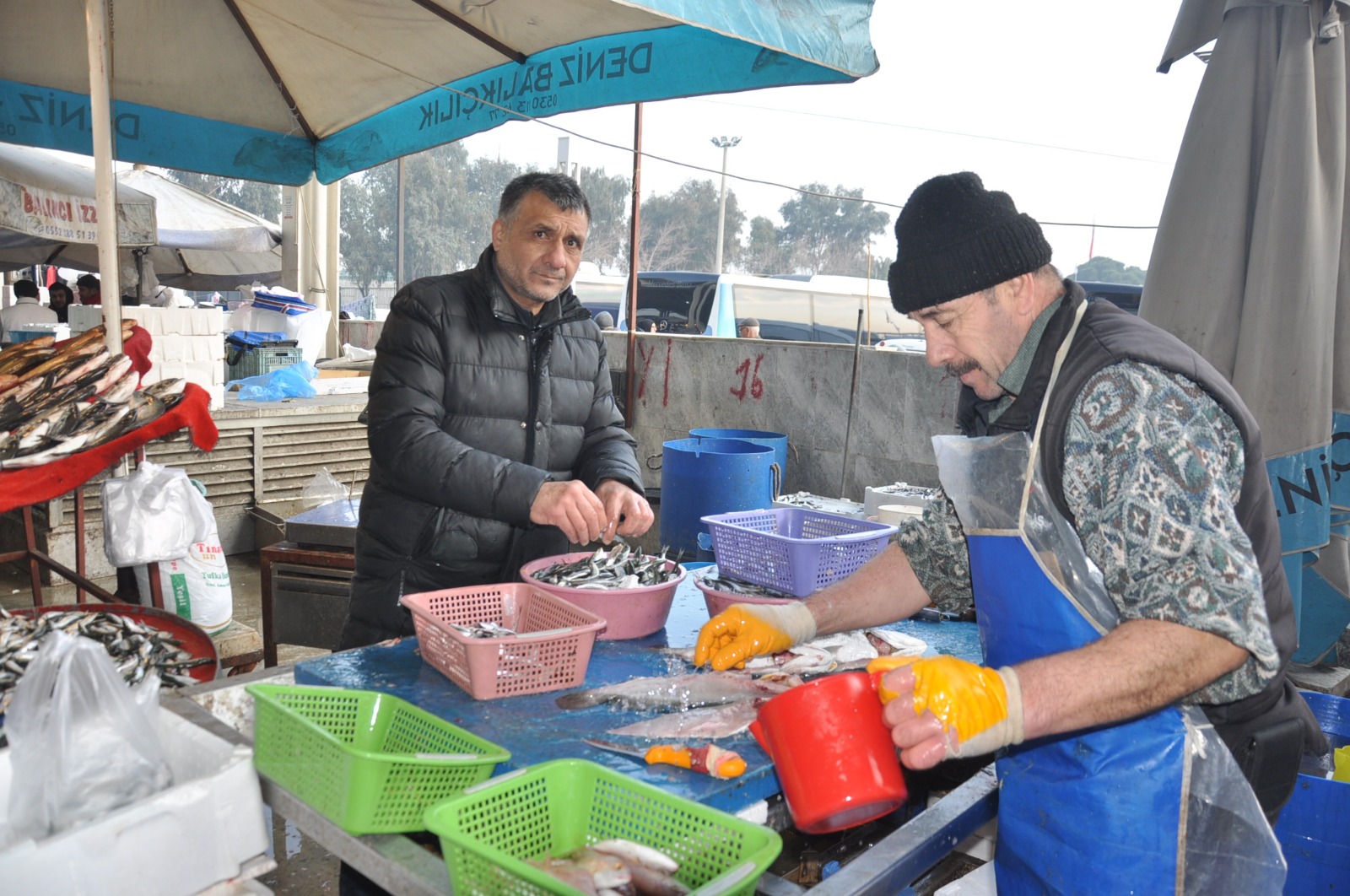 Balik Fiyatlari 21 Subat Carsamba7.13 2