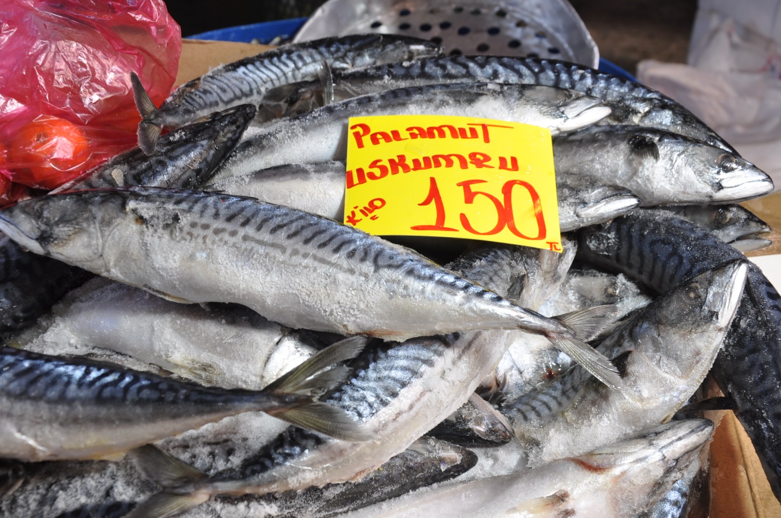 Balik Fiyatlari 21 Subat Carsamba7.15 5