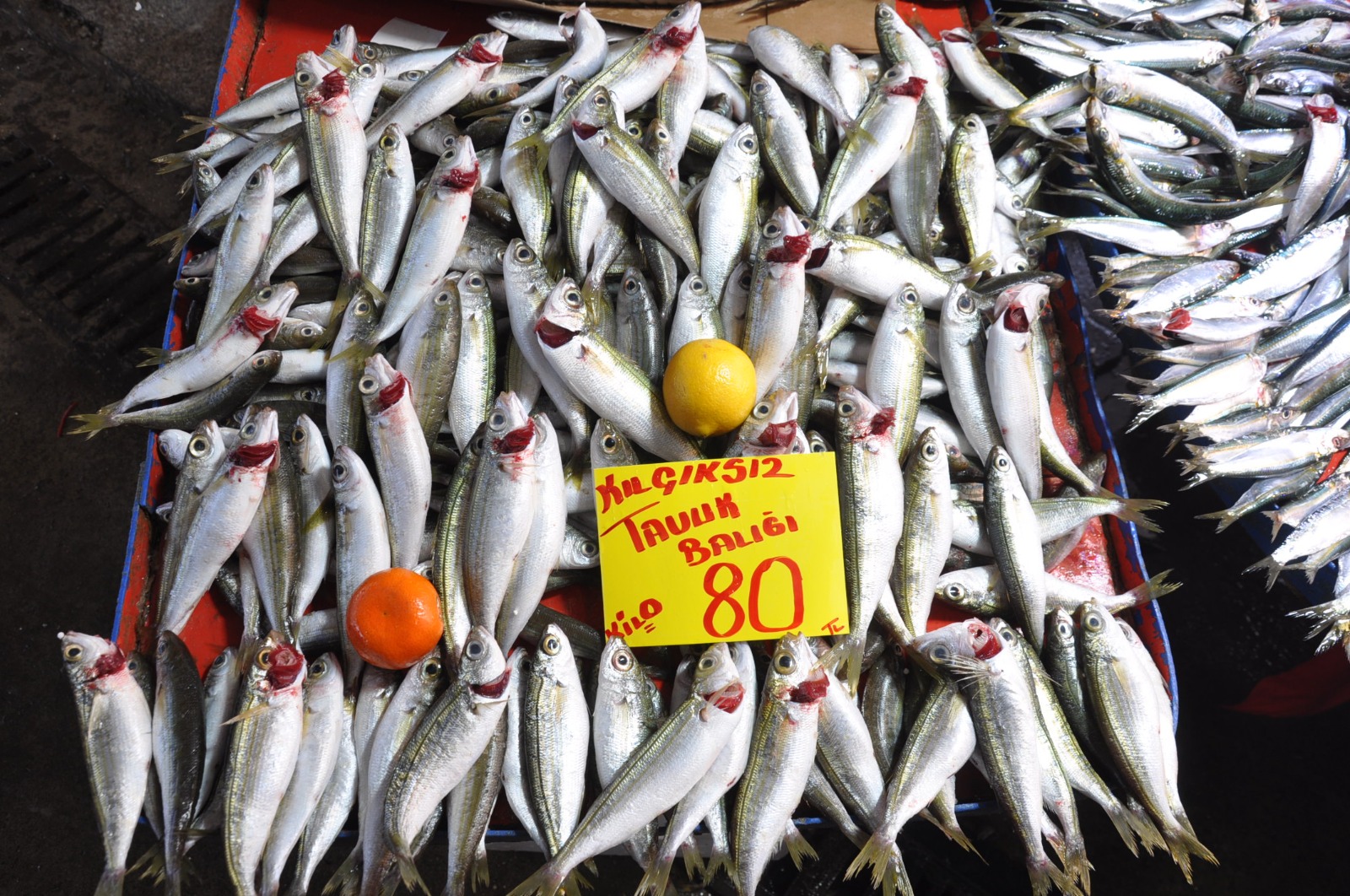 Balik Fiyatlari 21 Subat Carsamba7.15 6