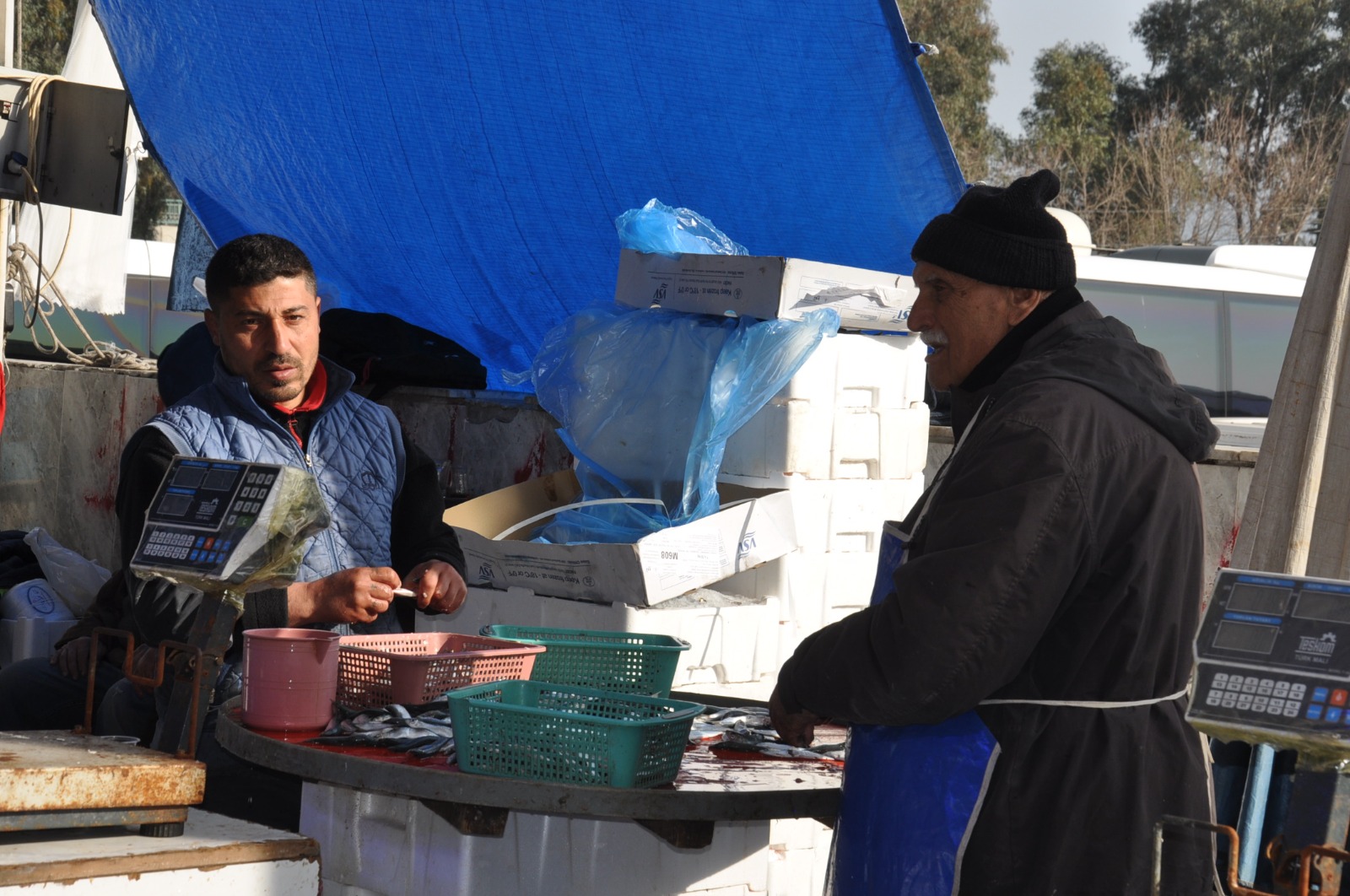 Balik Fiyatlari 27 Subat Carsamba Pazari6.03