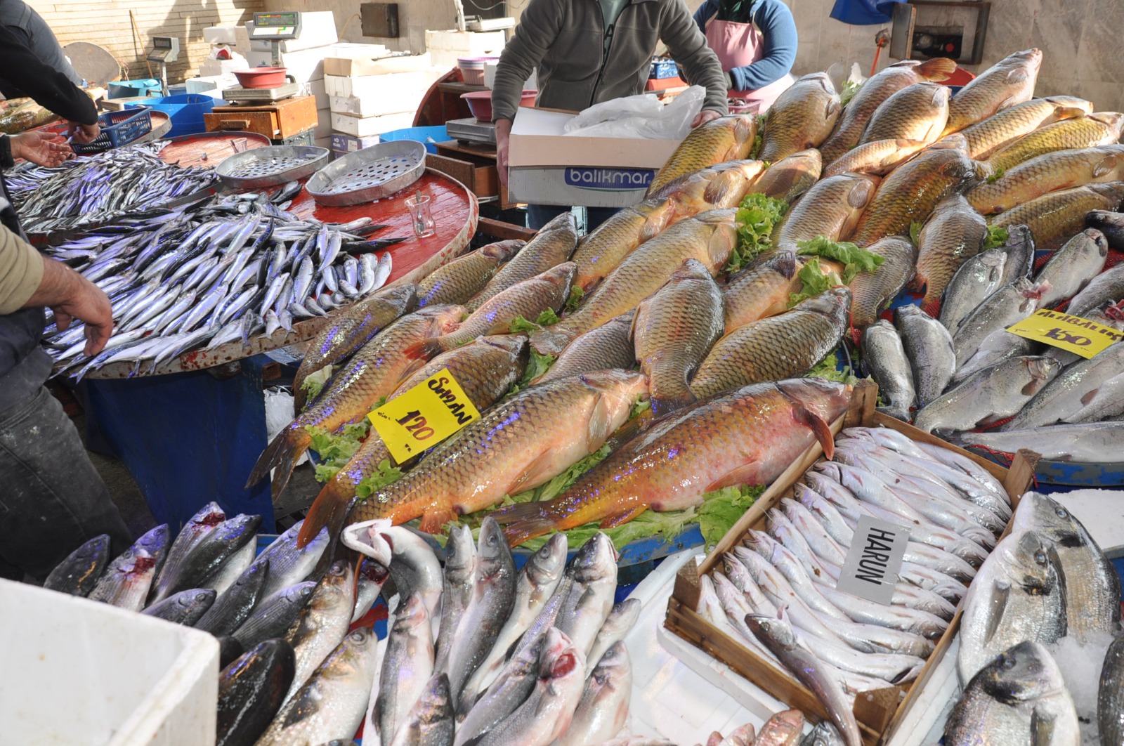 Balik Fiyatlari 27 Subat Carsamba Pazari6.13 4