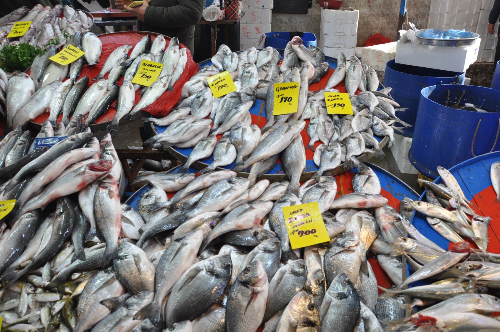 Balik Fiyatlari 27 Subat Carsamba Pazari6.13