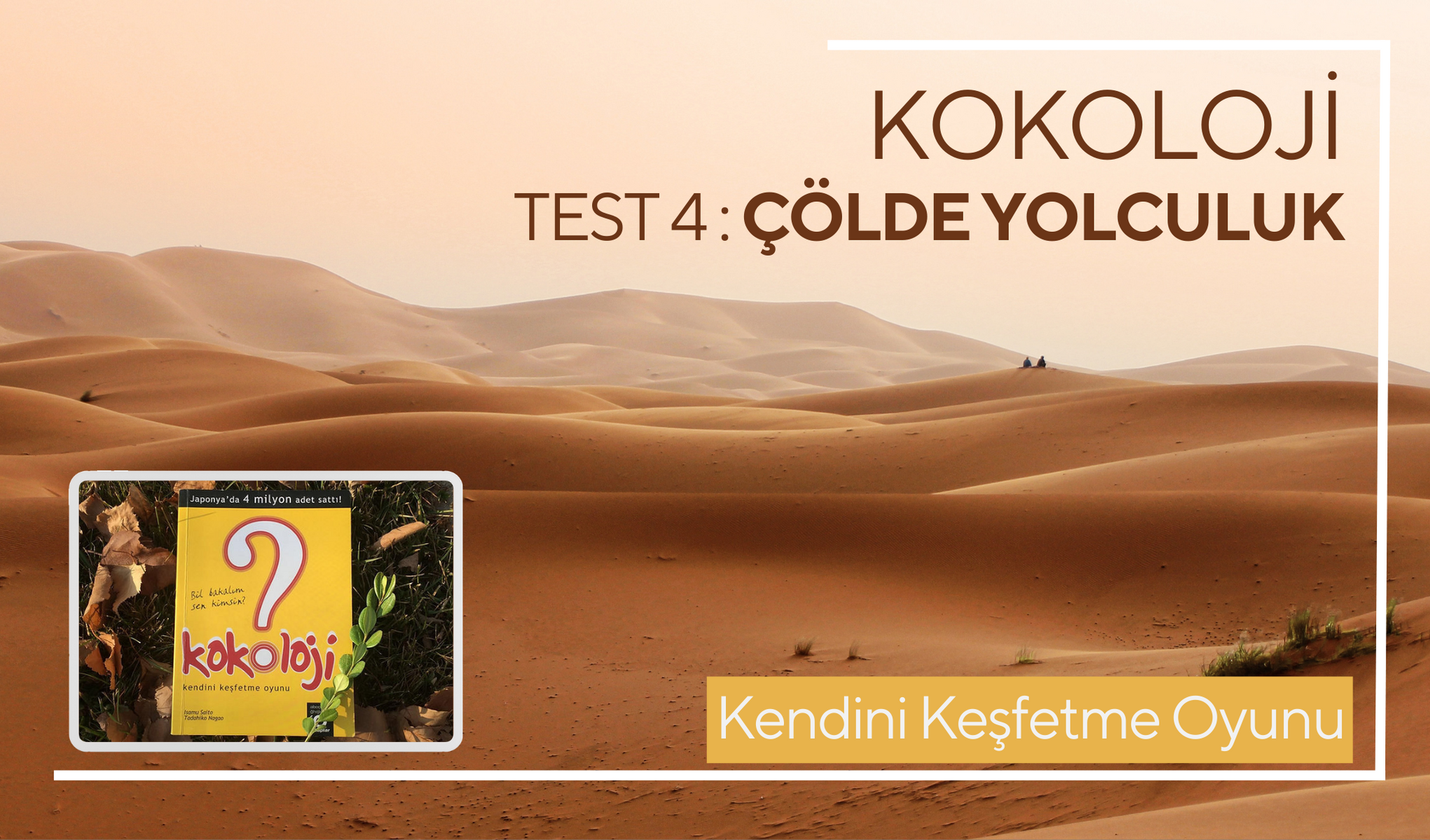 Kokoloji Testleri Colde Yolculuk