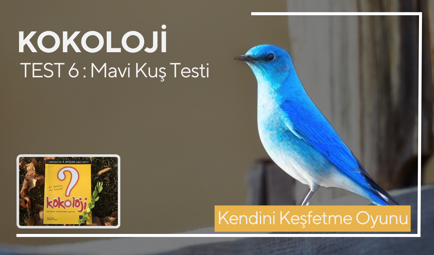 Psikolojik Testler Kokoloji Mavi Kus Testi