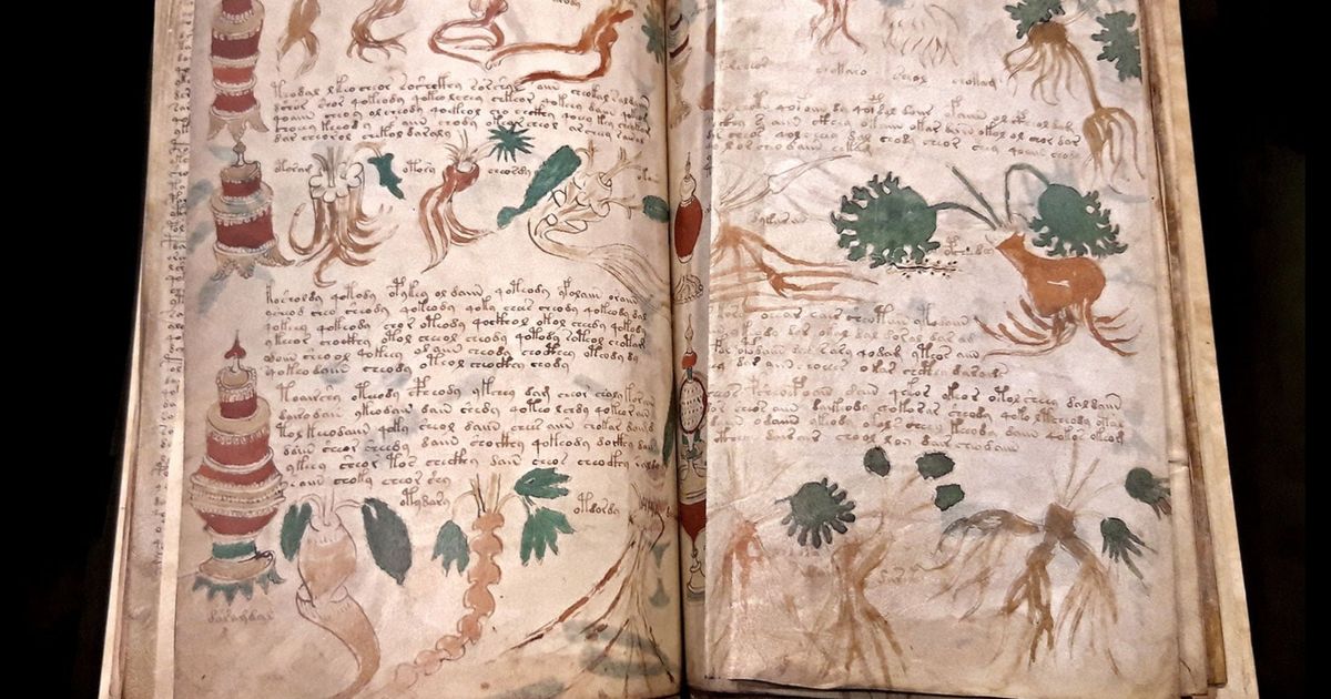 Voynicj El Yazmasi 5