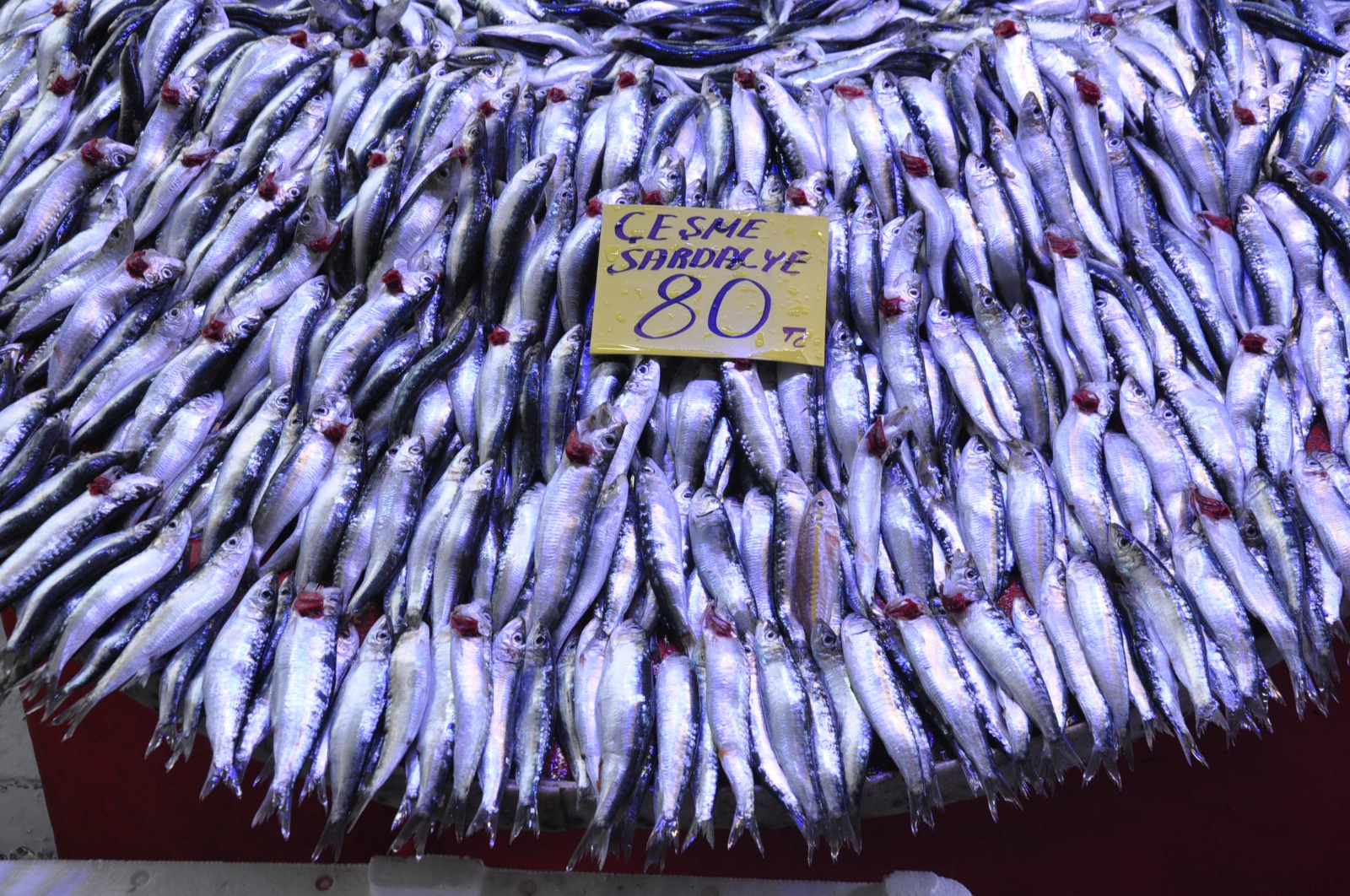 Whatsapp Image 2024 02 14 At 12.01.12 3