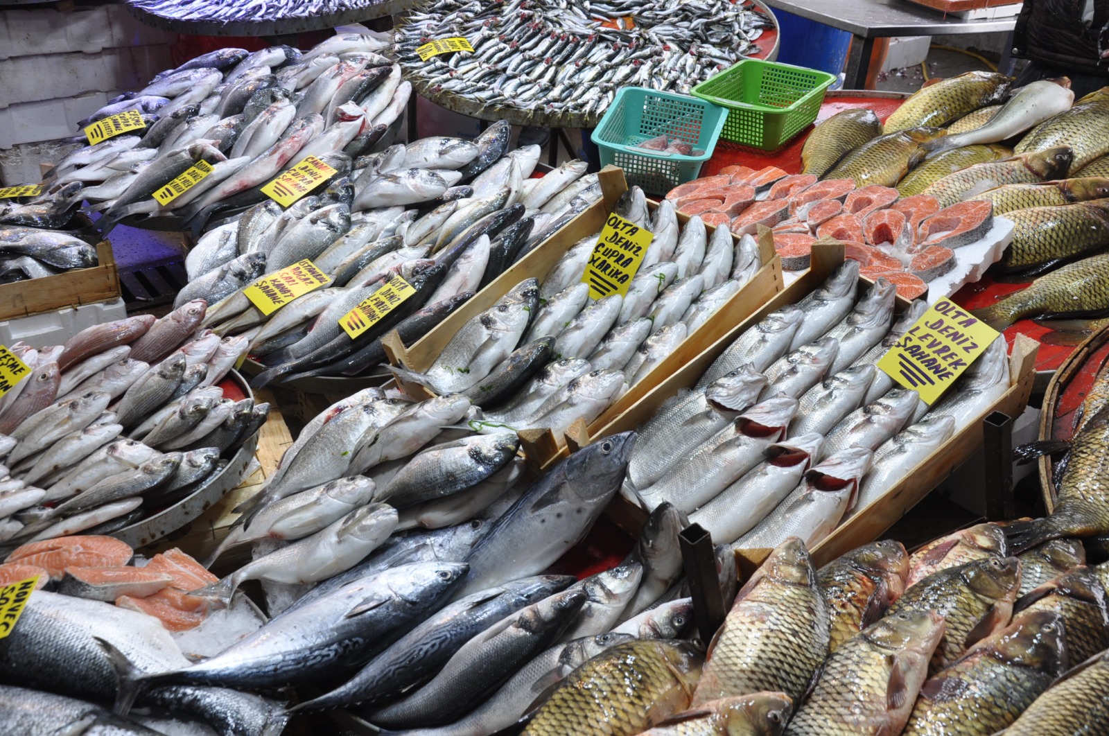 Whatsapp Image 2024 02 14 At 12.01.12