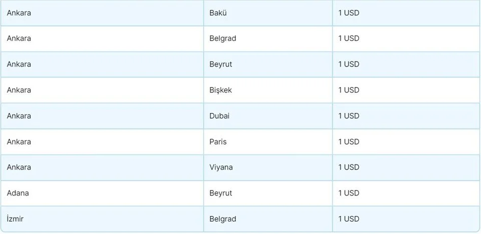 1 Euro 1 Dolara Yurt Disi Ucak Biletii.jpg