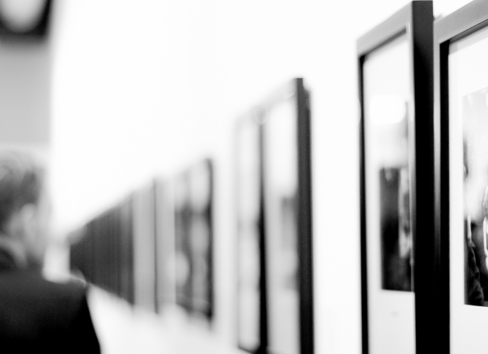 Kokoloji Testleri Sergi