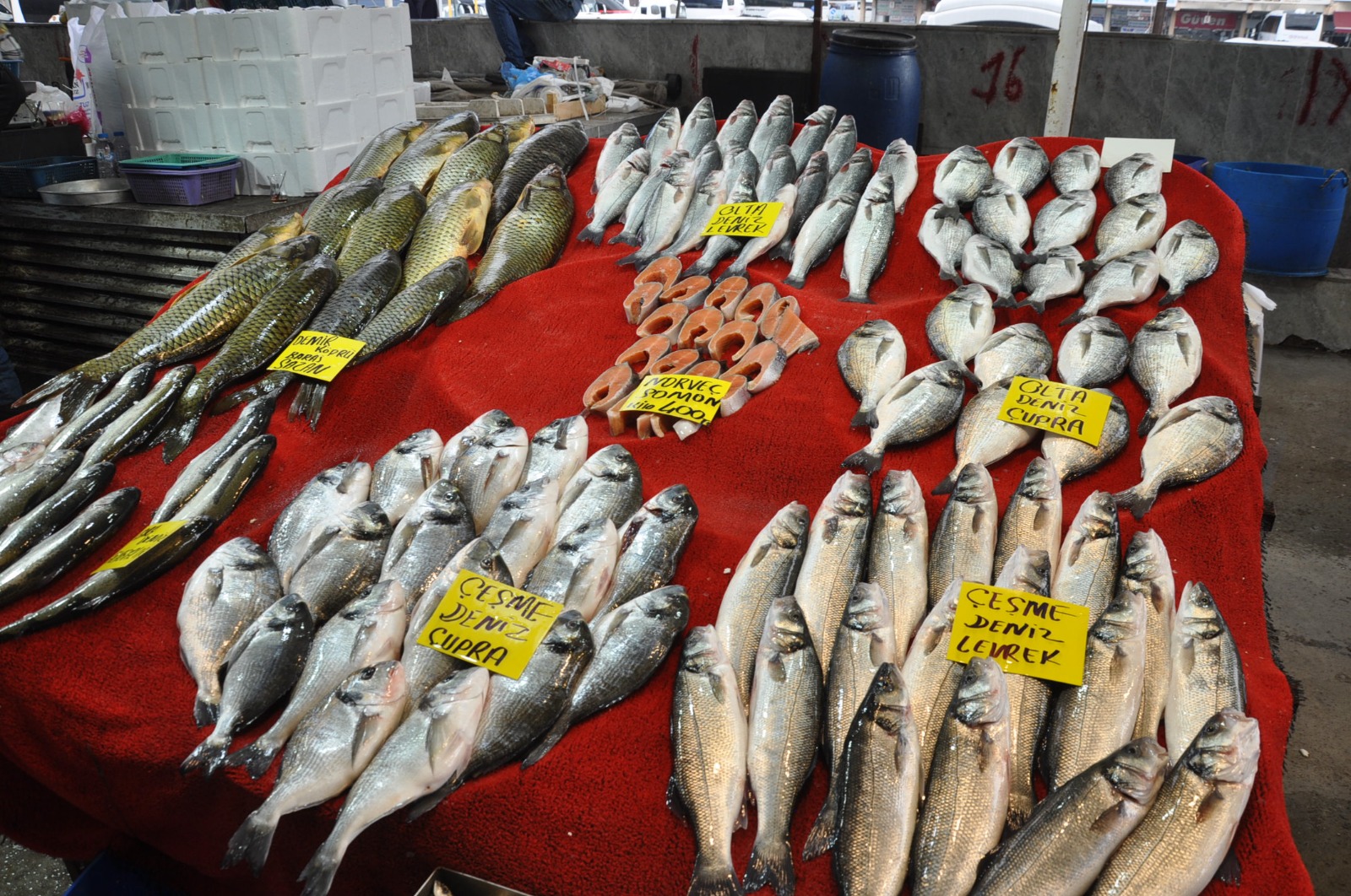 Pazarda Balik Fiyatlari 13 Mart Carsamba Pazari2.53