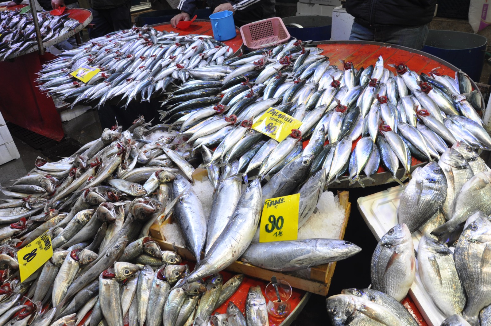 Pazarda Balik Fiyatlari 13 Mart Carsamba Pazari2.56 4